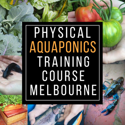 Physical Aquaponics Training course Melbourne